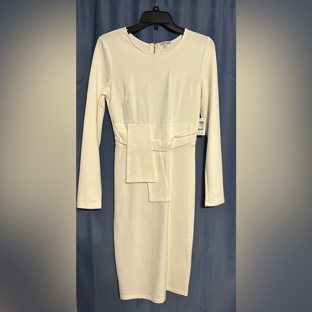 Charlotte Russe - Long Sleeve Bodycon, fitted dress